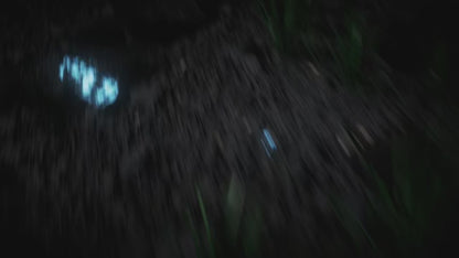 Zeblaze Stratos 4 - Montre intelligente GPS montre intelligente